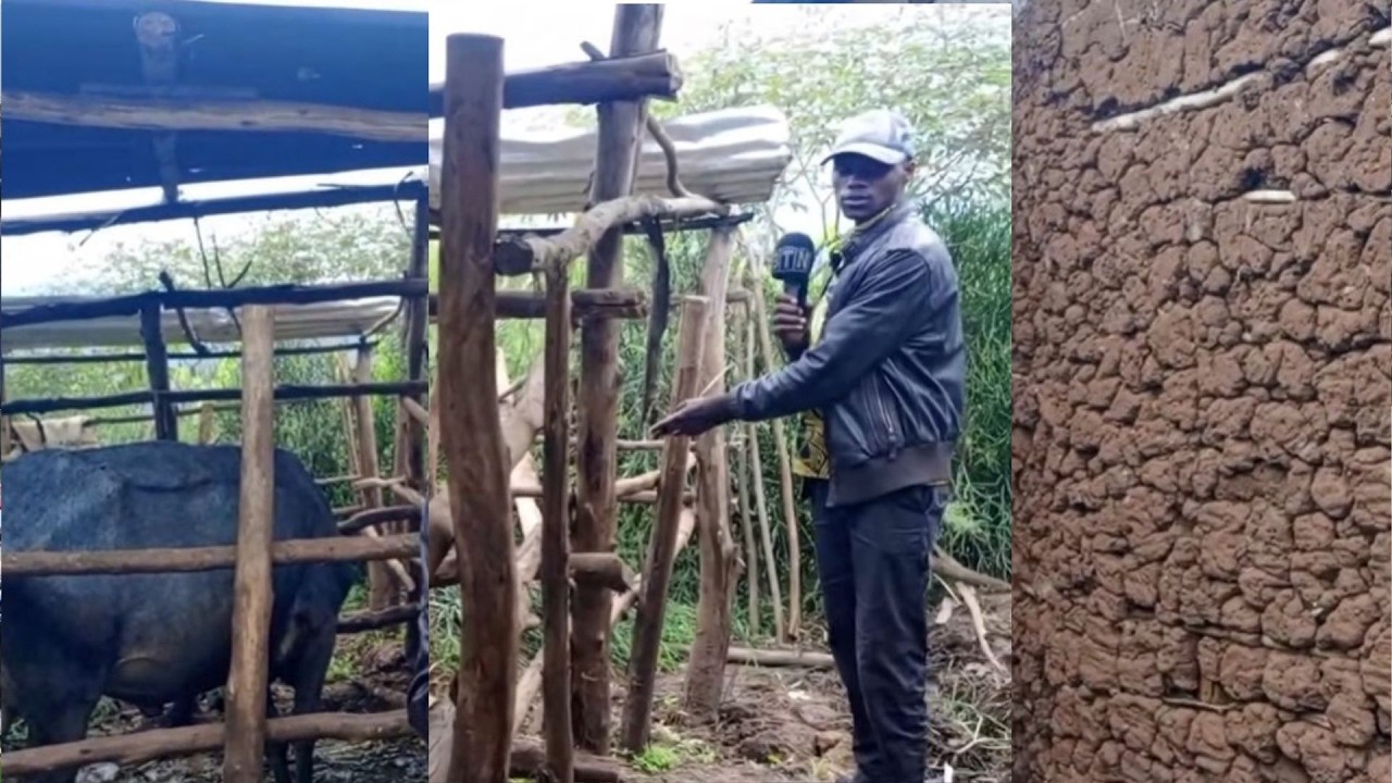 RULINDO_BARATABARIZA ABANTU #RIB YAFUNZE BATABURANA BAZIRA INKA YISWE INJURANO BEMEMEZA KO ARI IYABO