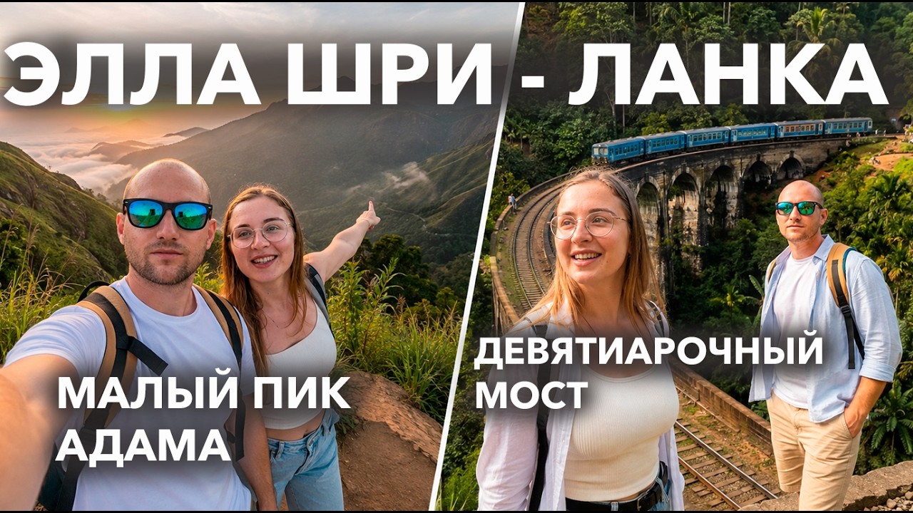 ЭЛЛА 2022. Сердце ШРИ-ЛАНКИ. Дикий СЛОН на дороге. #шриланка