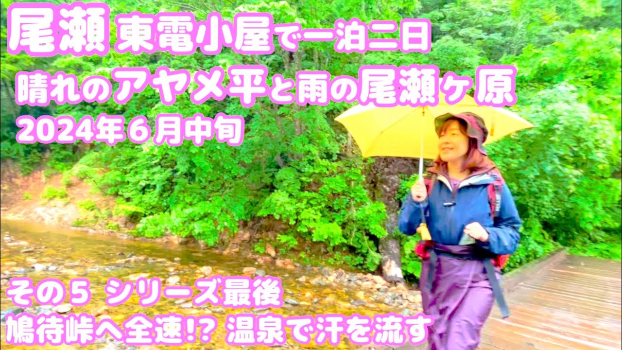 ⑤尾瀬 東電小屋で一泊二日 晴れのアヤメ平と雨の尾瀬ヶ原。下山後は南郷温泉しゃくなげの湯の源泉かけ流し貸切り風呂 2024年６月中旬 鳩待峠へ全速力!? 暑くて汗かいたので温泉へ