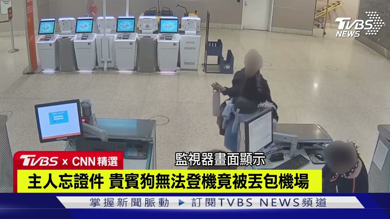 【CNN精選】主人忘證件 貴賓狗無法登機竟被丟包機場｜TVBS新聞 @TVBSNEWS01
