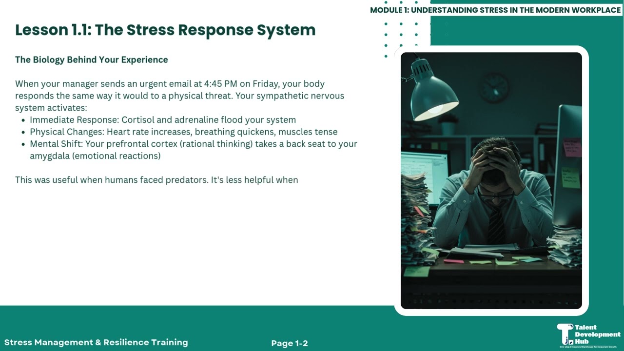 DEMO STRESS MANAGEMENT & RESILIENCE TRAINING