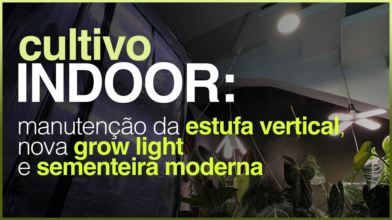 Cultivo INDOOR - Manuten&ccedil;&atilde;o da ESTUFA Vertical, Nova GROW LIGHT de 18W e Sementeira MODERNA