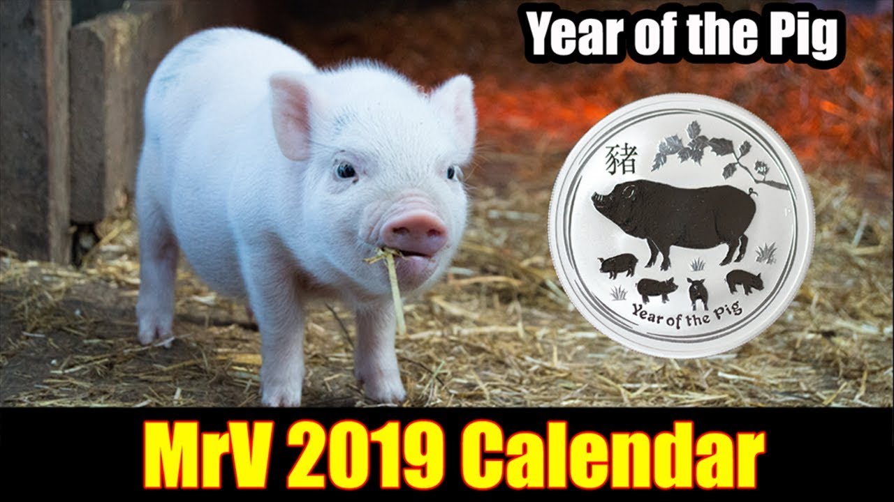 2019 Mr V Coin Calendar: Check out the Coins
