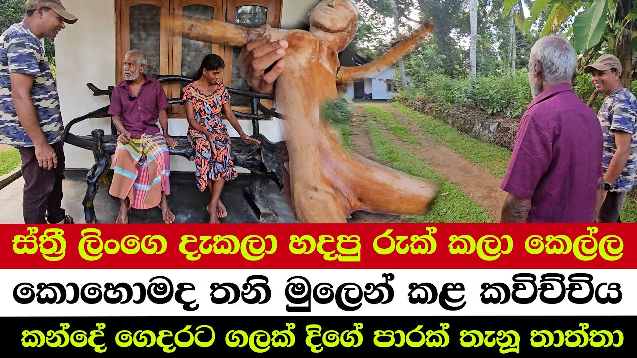 ස්ත්‍රී ලිංගෙ දැකලා හදපු රුක් කලා කෙල්ල | කොහොමද තනිමුලෙන් කළ කවිච්චිය | ගලක් දිගේ පාරක් තැනූ තාත්තා