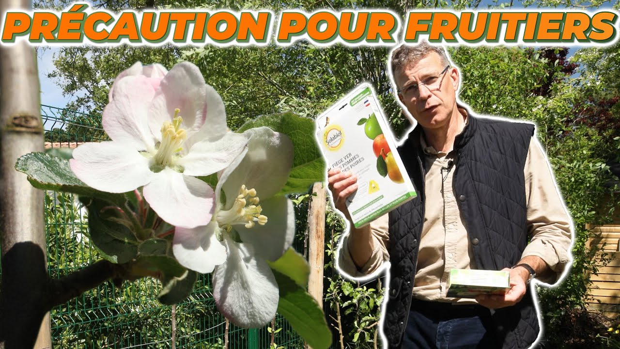 COMMENT PROTÉGER VOS FRUITIERS DES RAVAGEURS ?