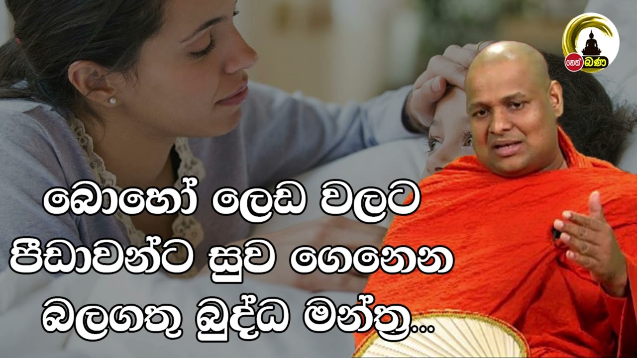 Kuttikulame Pemalankara Thero l Meth Neth Pamula l 2025 05 25