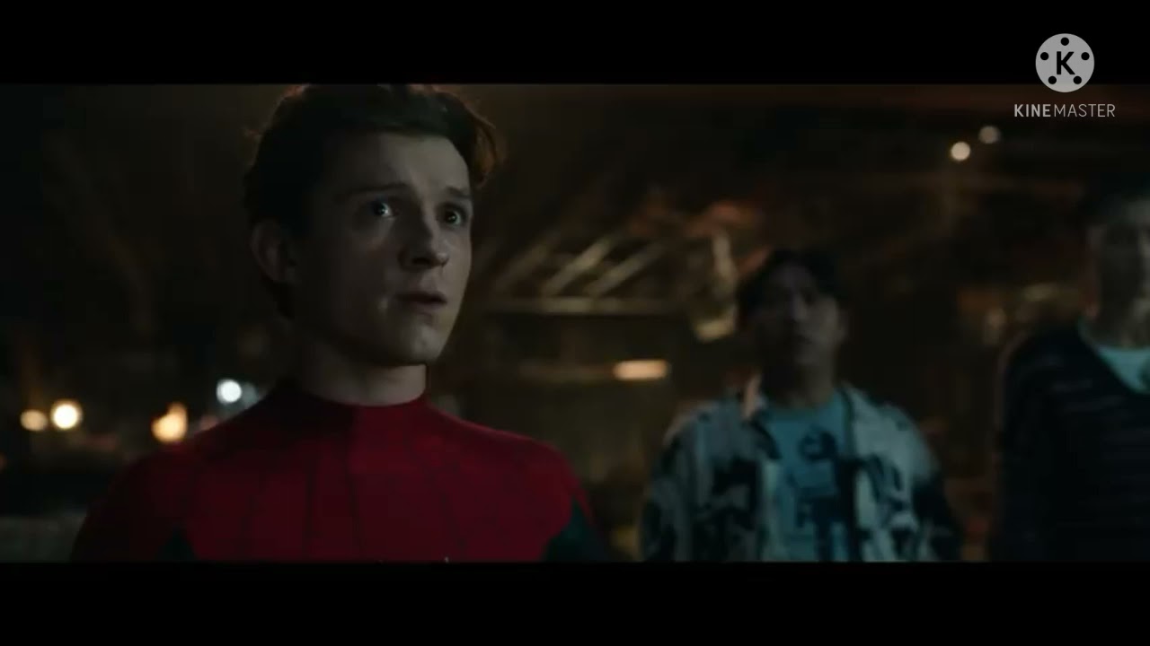 Spider-Man No Way Home (Alternate Trailer) Credit: @Mightyracoon