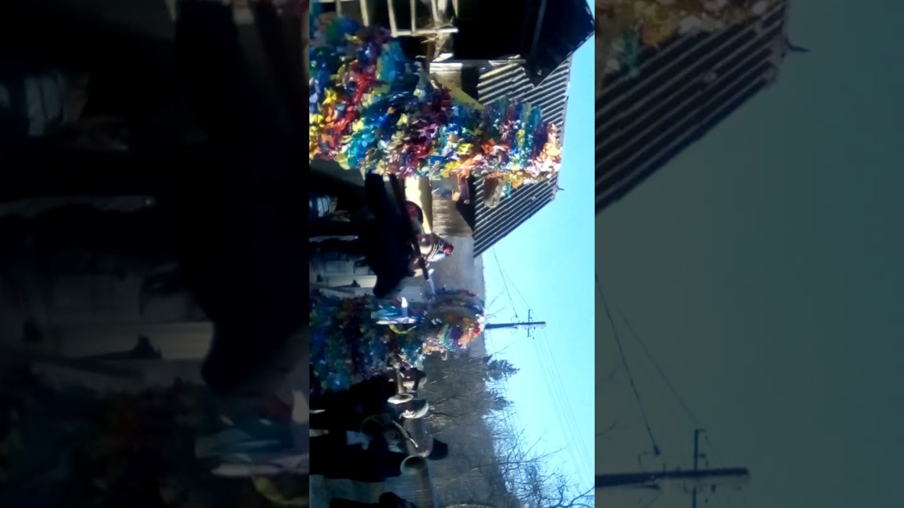 Caprele de la pânceşti 2016-2017