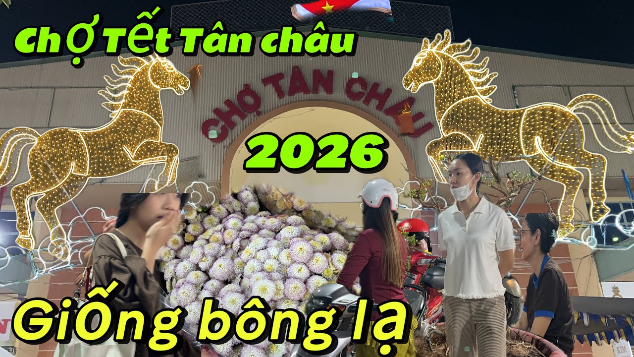 Chợ Tết Tân châu an Giang , xuất hiện giống hoa lạ ,ai củng đắm đuối ngắm nhìn 