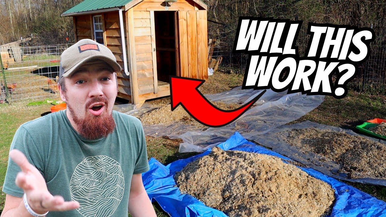 First Time Putting THIS Inside Our Chicken Coop