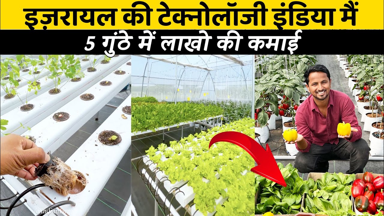 Israel Technology से बिना मिटटी की खेती 😱  | Hydroponics Farming | Indian Farmer | #shorts