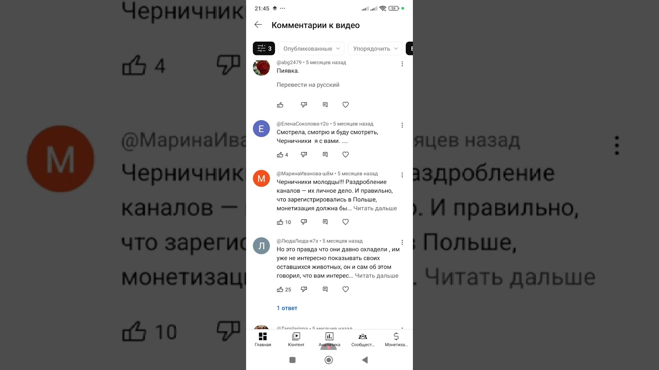 Черничники свежее видео от Профессора . Делаю обзор комментариев за 5 месяцев. Черничный @Черничники