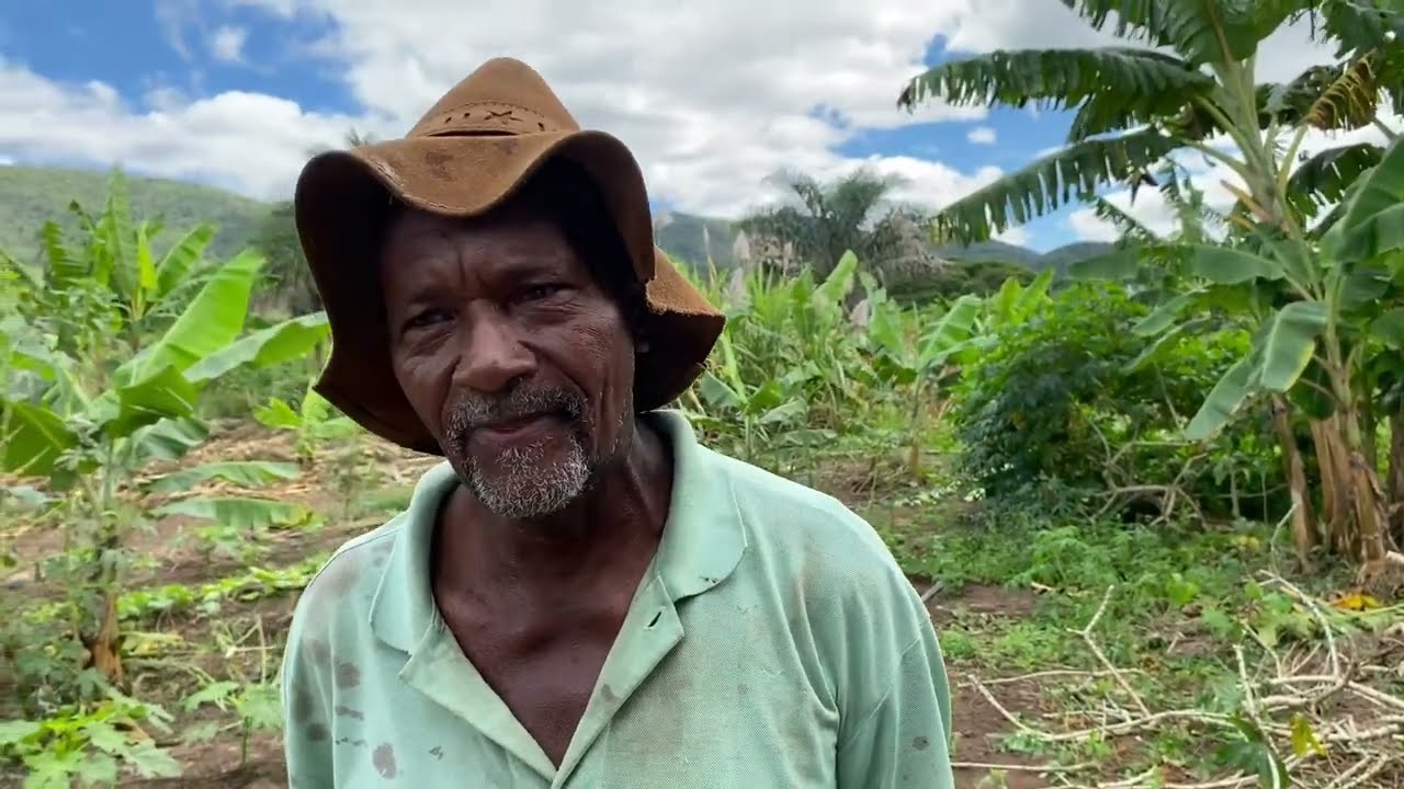 A Vida do Homem do Campo: Conheça a Horta Orgânica do Seu Lindonor em Piritiba
