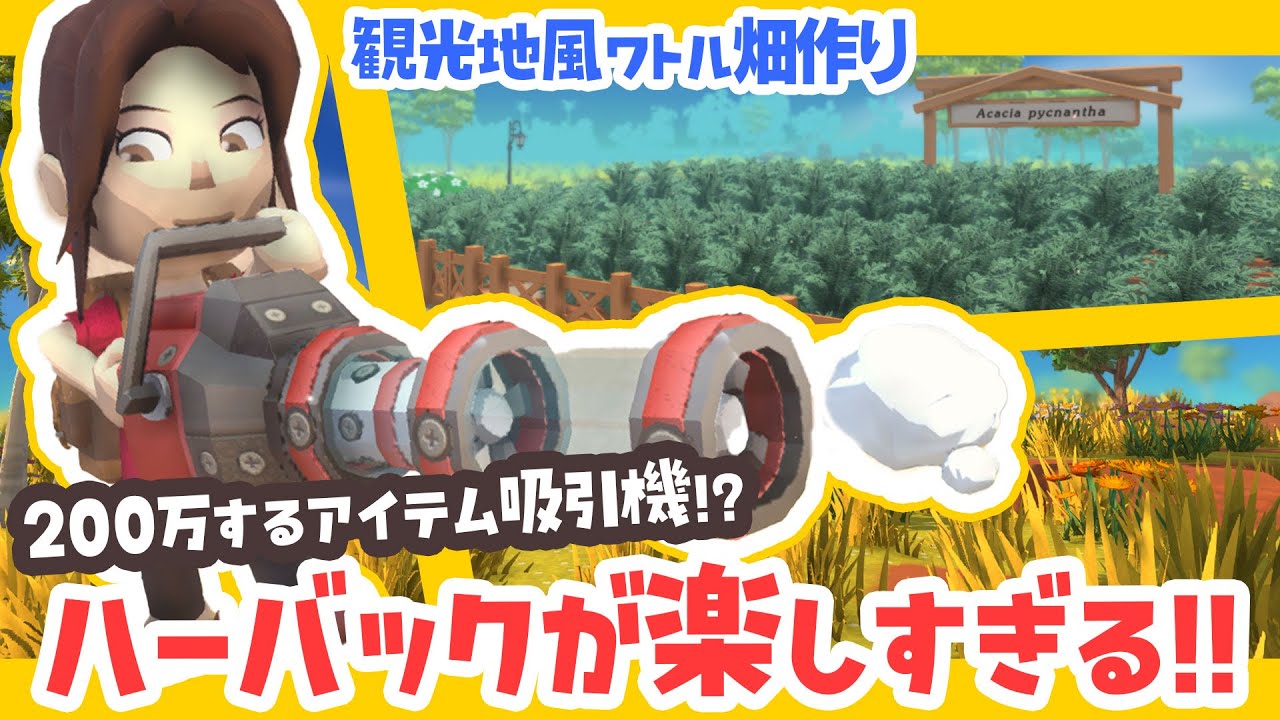 【Dinkum実況】200万するのアイテム吸引機！？ハーバックが楽しすぎる！！～観光地風ワトル畑作りました～