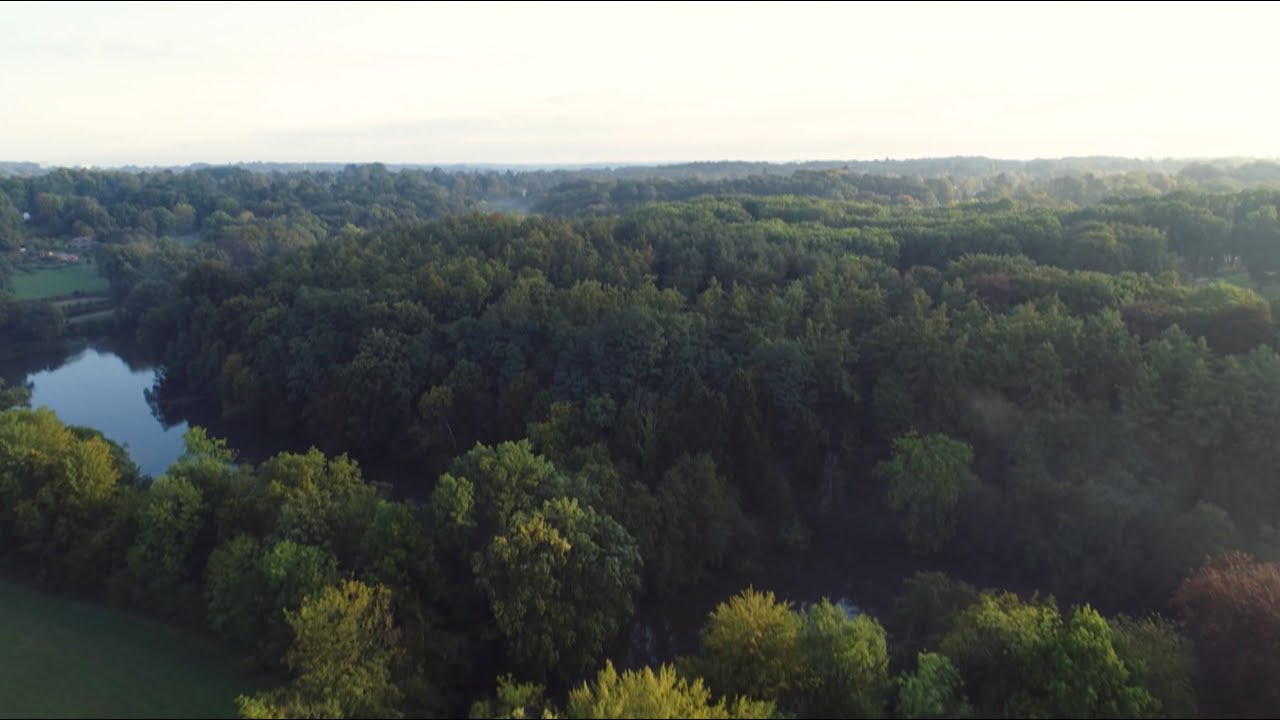 Brabantse Wouden - Vlaams-Brabant in de Kijker
