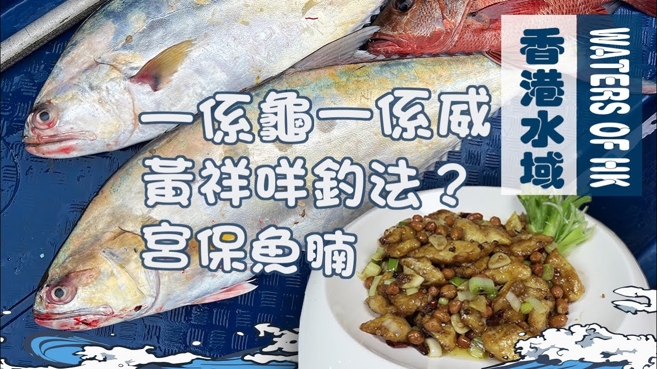 【漁人推介】香港水域 西水黃祥來了，阿火和大家一起出海釣黃祥，如何使用活餌釣魚？黃祥除了曬咸魚外，還有什麼食法？自家製作麻辣宮保魚腩｜海鮮｜食譜 Catch and Cook Fry Recipe