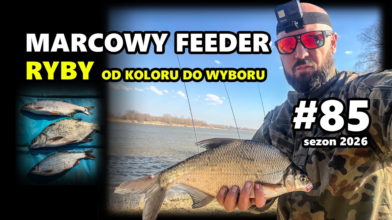 Marcowy Feeder na Wiśle &ndash; ryby od wyboru do koloru | 85. odcinek &ndash; Ryczyw&oacute;ł