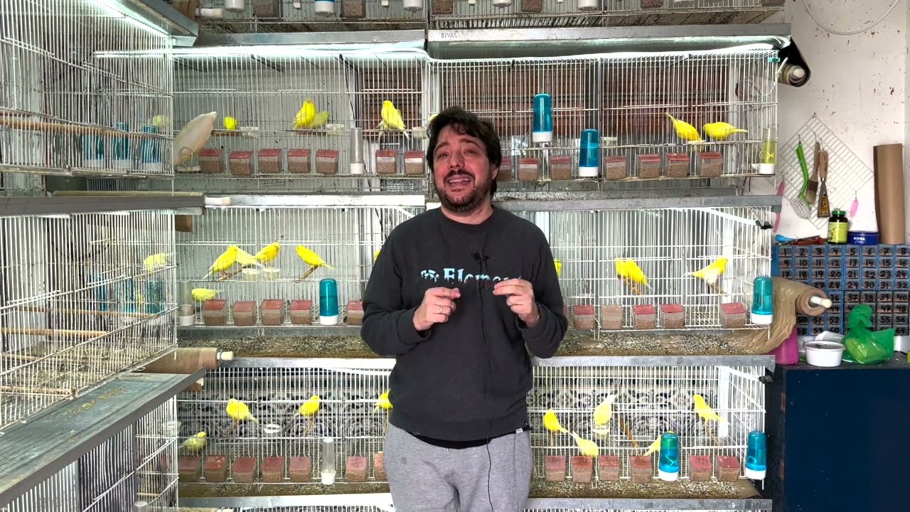 PREPARACIÓN HEMBRAS MANTENIMIENTO | TEMPORADA DE FRÍO🌧❄️