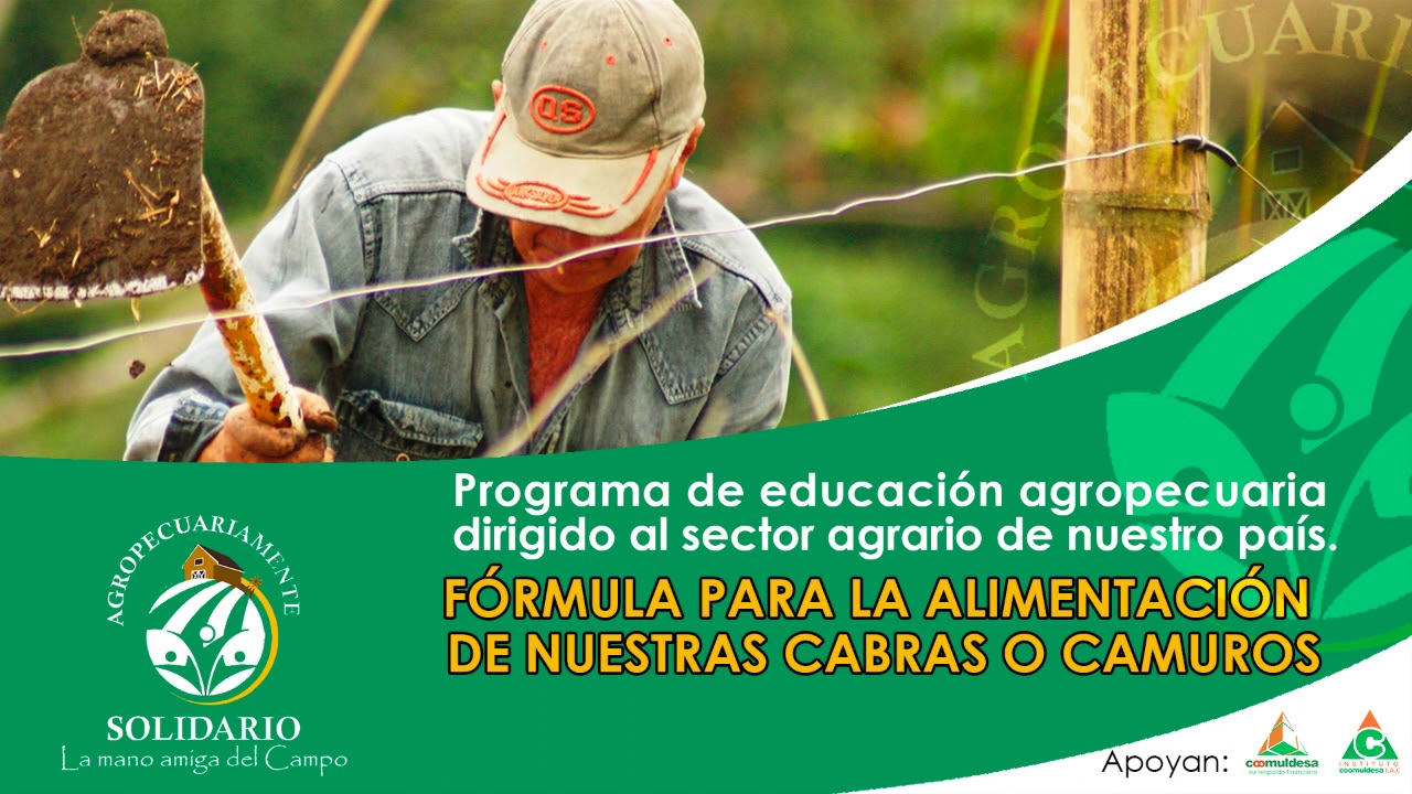 F&Oacute;RMULA PARA LA ALIMENTACI&Oacute;N DE NUESTRAS CABRAS O CAMUROS