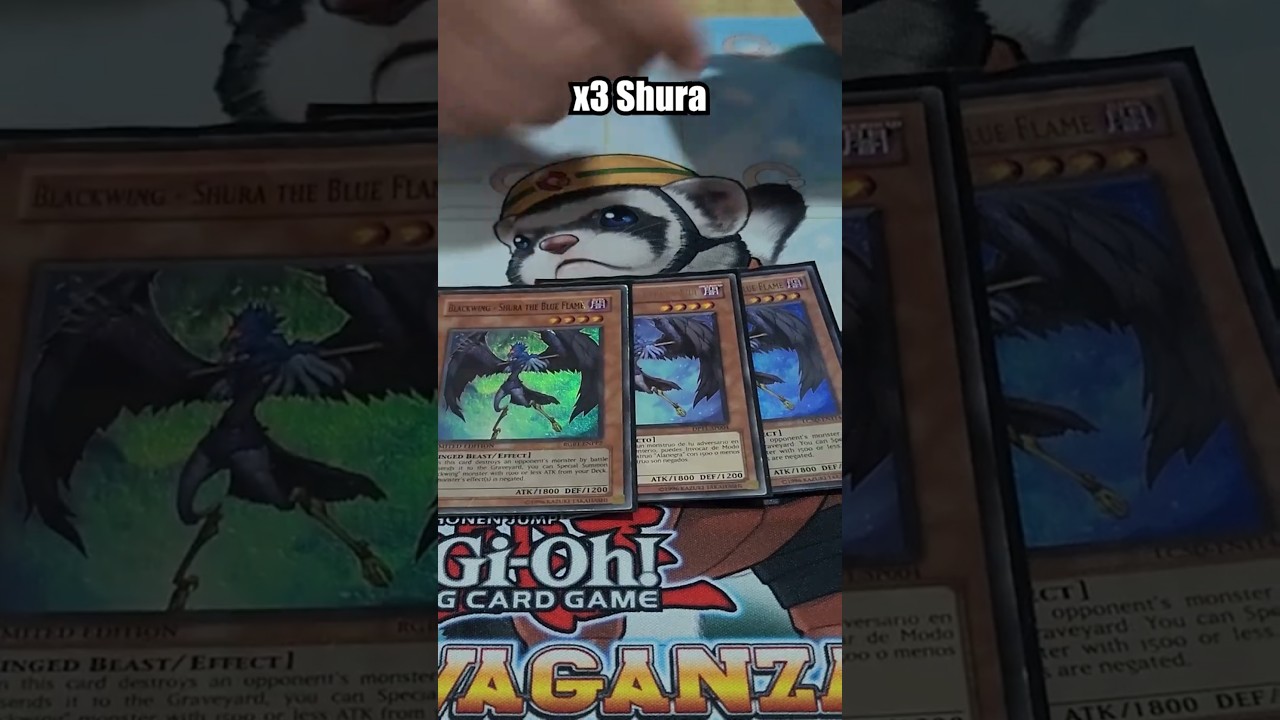 Blackwing edison deck profile #edison #yugioh #tcg #deckprofile #yugiohcommunity
