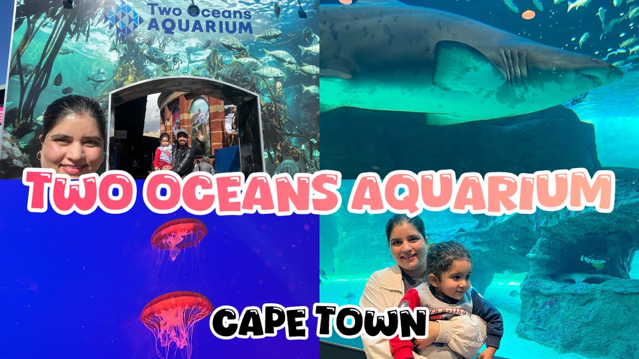 Two Oceans Aquarium Cape Town | Sharks, Penguins & Marine Wonders (2025) Toddler Fun 🤩 