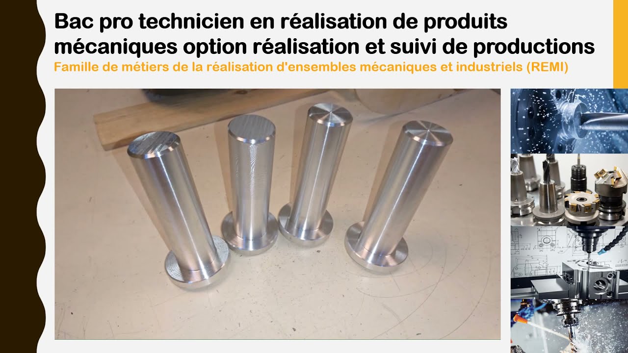 Présentation de l'offre des formations du LPO G MONOD (95)