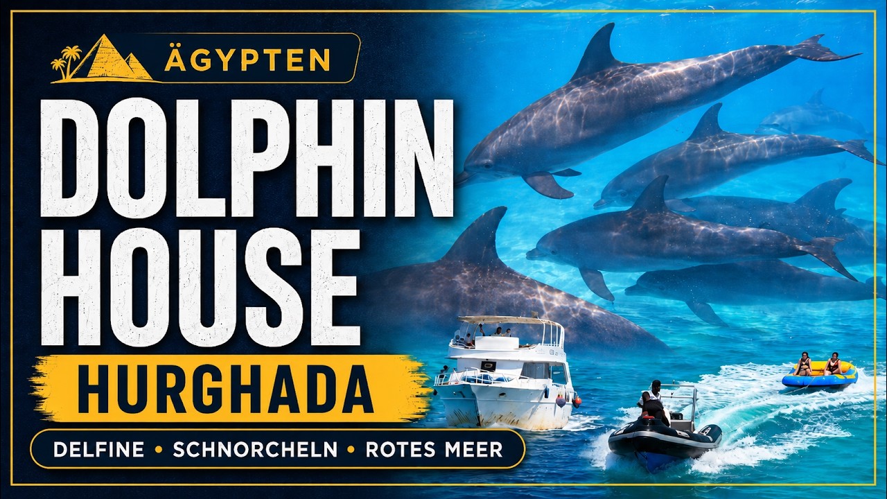 Unvergessliche Delfin-Begegnung & Schnorcheln im Roten Meer | Dolphin House Hurghada Highlights  