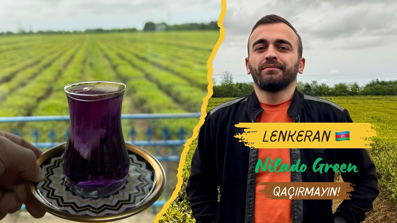 Çay Həvəskarları Üçün: Lənkəran Nilado Turu 🇦🇿