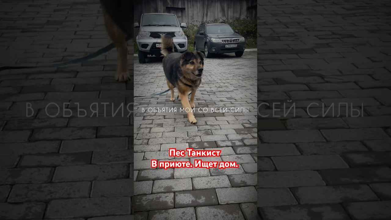 Танкист. Приют Милосердие. г. Архангельск