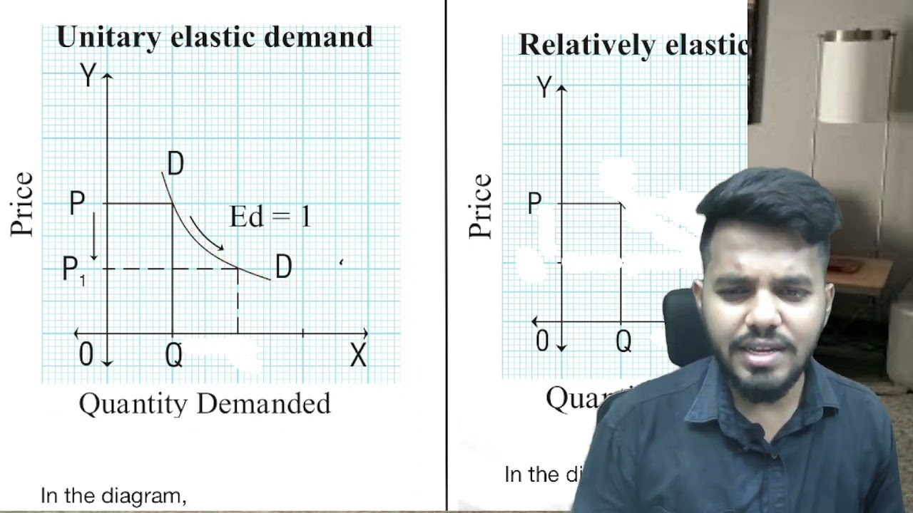 12TH COMMERCE I ECONOMICS I TYPES OF PRICE  ELASTICITY OF DEMAND I CHAPTER 3 B I