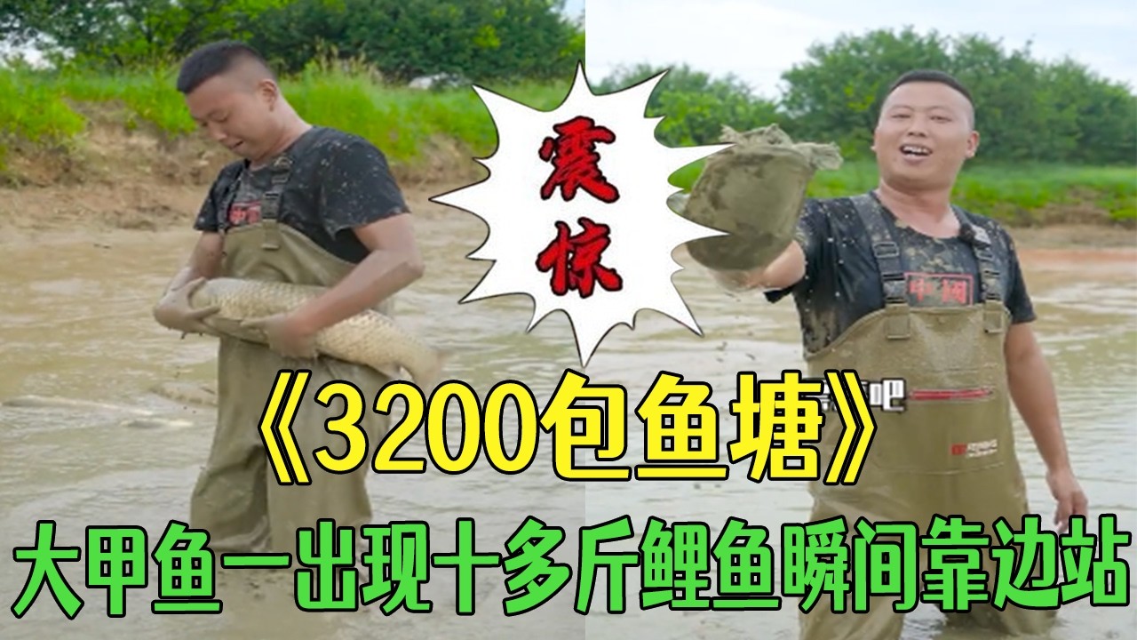 花3200塊包下壹個魚塘，大甲魚壹出現十多斤鯉魚瞬間靠邊站  #小飛哥#新農人計劃 #三農 #護外 #抓魚 #我要上熱門 #包塘