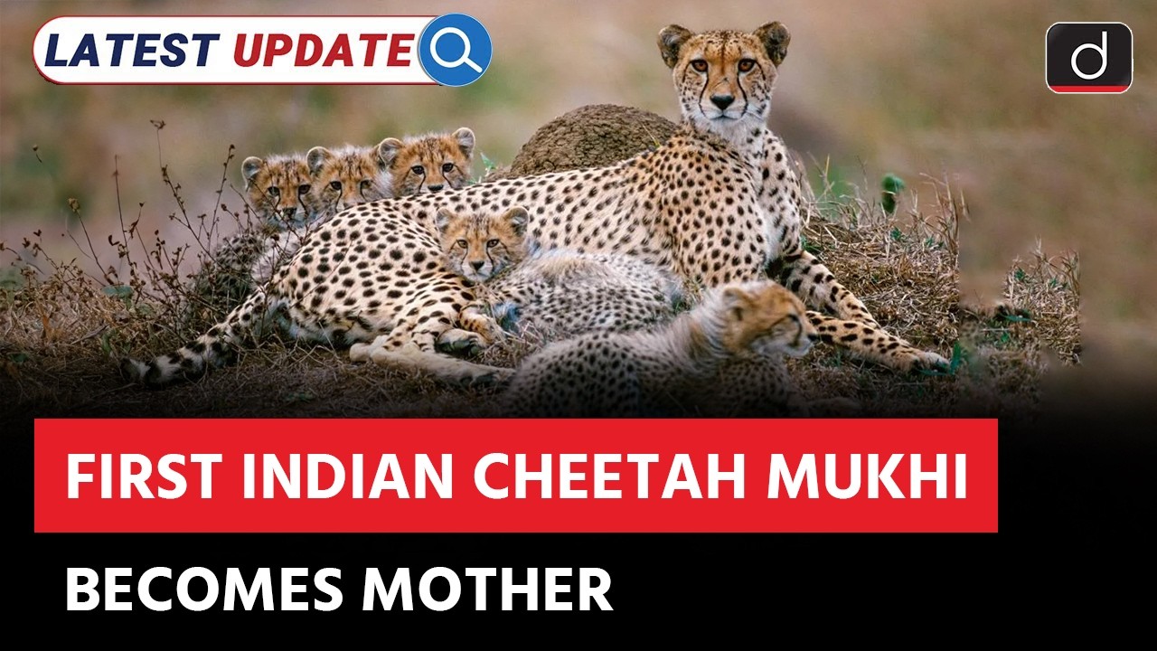 First India-Born Cheetah | Kuno National Park | Latest Update | Drishti IAS English