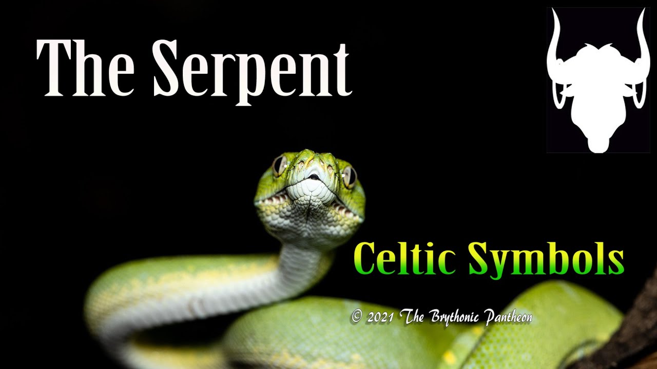 The Celtic Serpent of Sacred Knowledge, Fertility and Regeneration - Celtic Symbols Explained