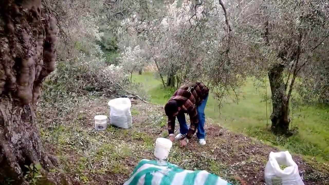 Escursione sulle montagne di Trunca di Reggio Calabria.