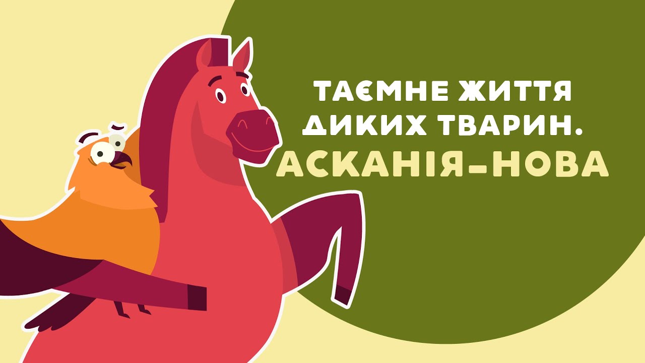ПЕДАН ПРО ТАЄМНЕ ЖИТТЯ ДИКИХ ТВАРИН. АСКАНІЯ-НОВА. 12 серія &laquo;Книга-мандрівка. Україна&raquo;.
