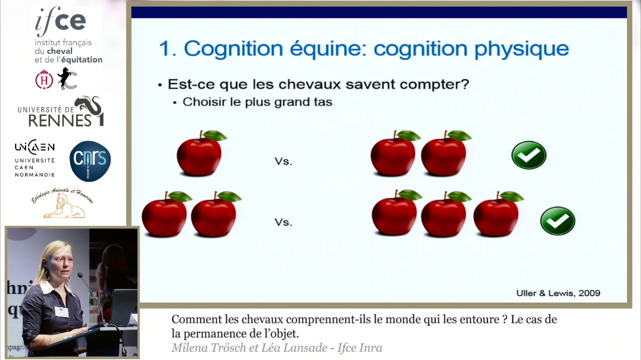 M. Trösch & L. Lansade - Journée éthologie 2018 - La cognition équine