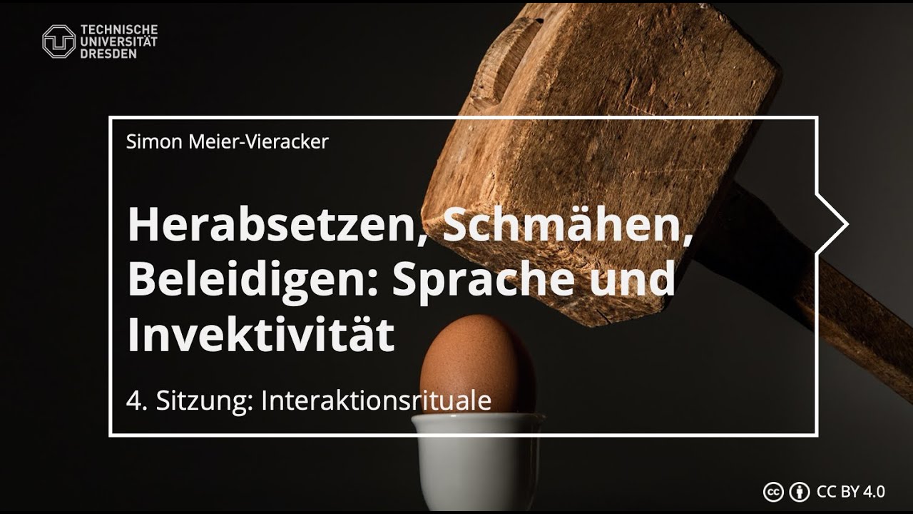 Sprache und Invektivität – 4. Interaktionsrituale