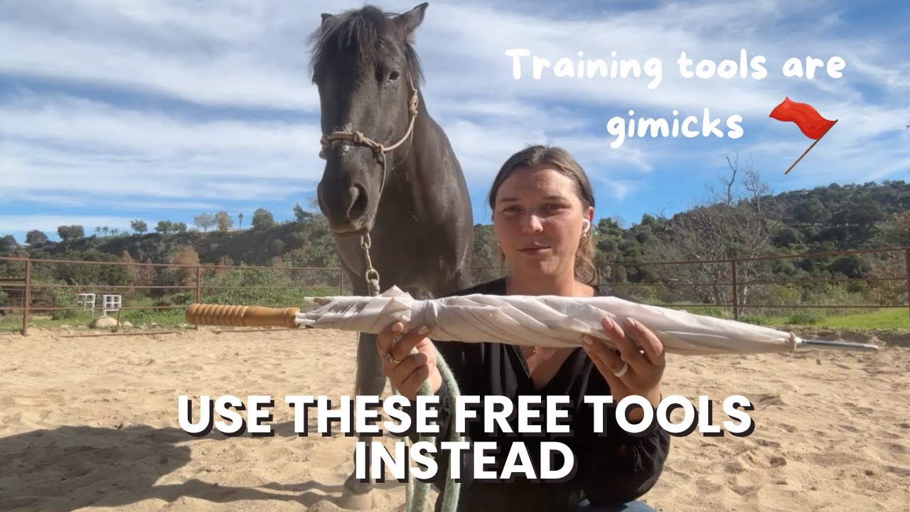 3 horse training tools that are a waste of money and 3 free things you could use instead.