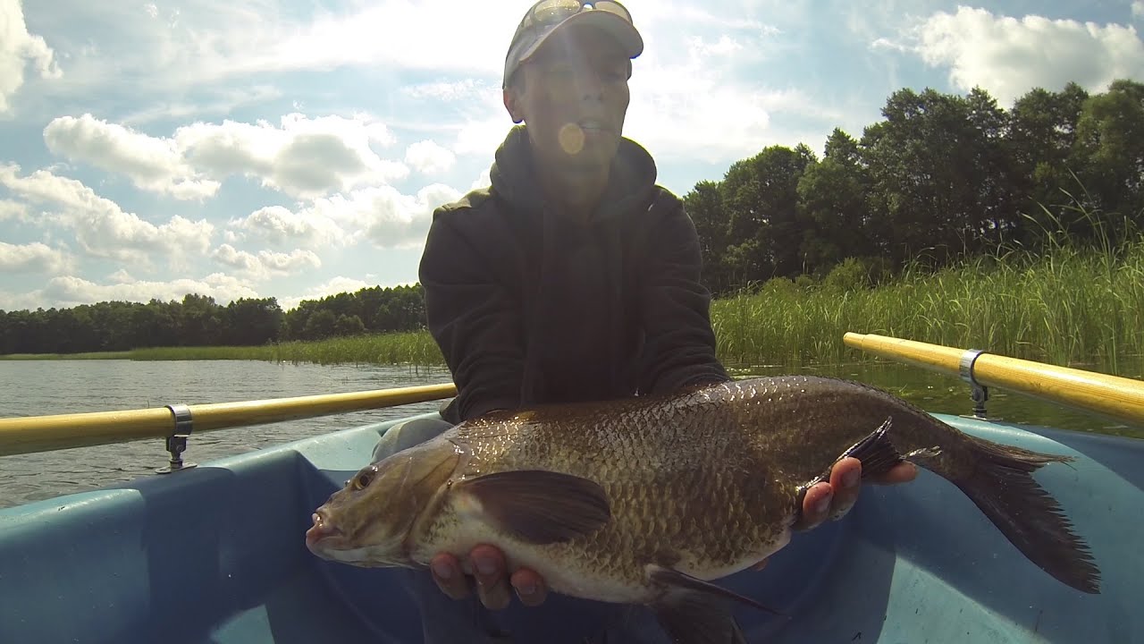 Wędkarstwo spławikowe / Jak wybrać miejscówke na leszcze [Mój sposób] \ Leszcz na spławik