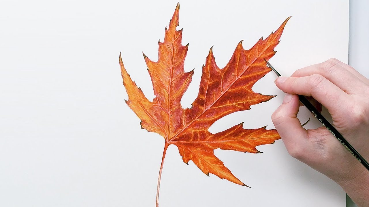 How to paint a red fall leaf in watercolor with Anna Mason