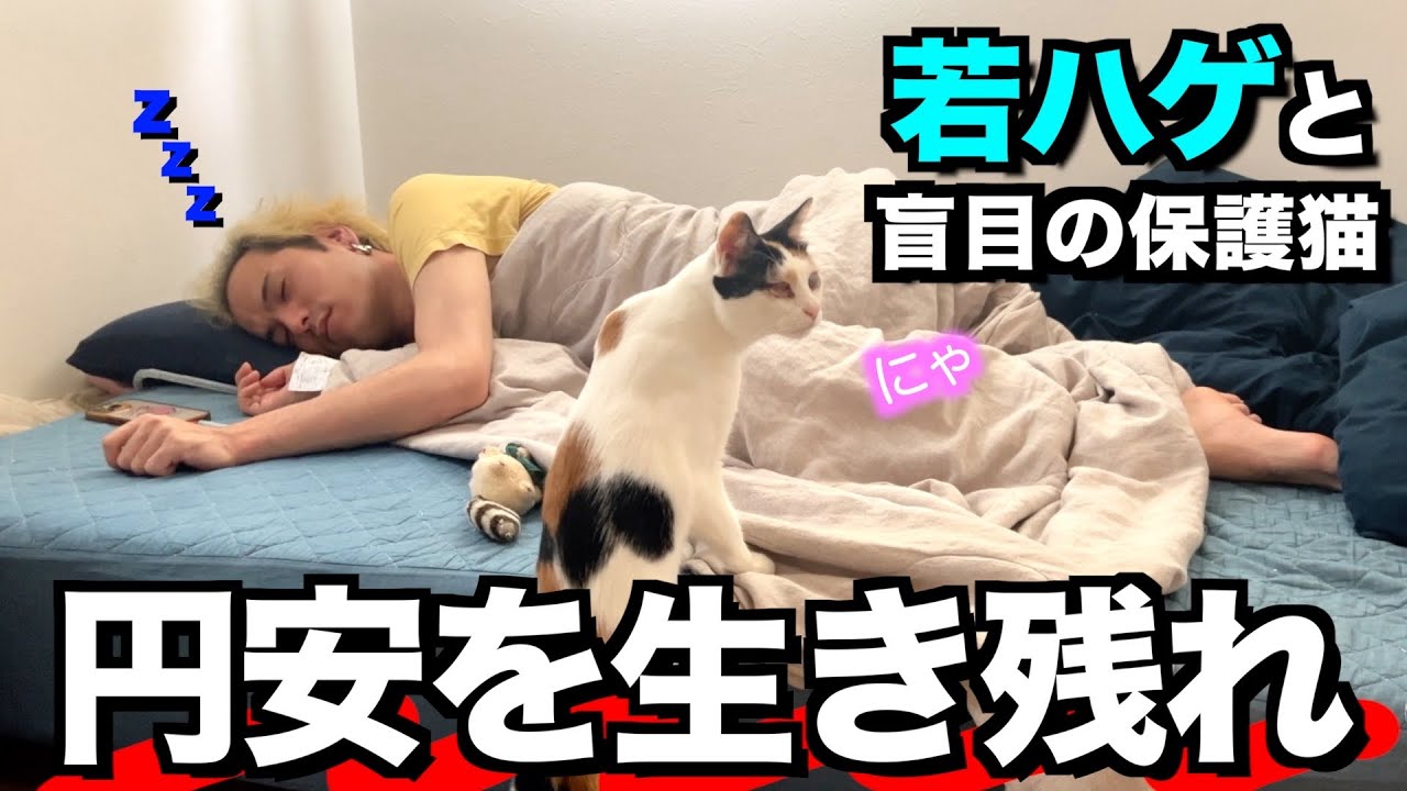 【円安を生き残れ】若ハゲと盲目の保護猫の節約ルーティン/vlog