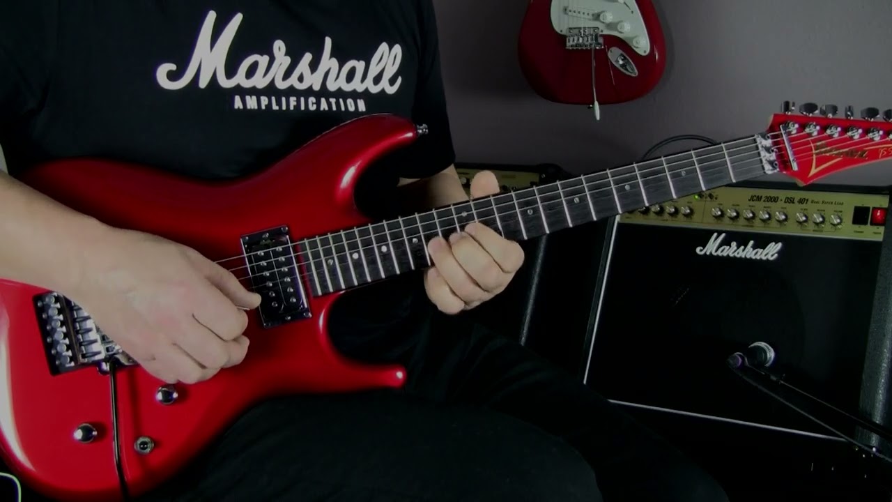 Always With Me, Always With You - Joe Satriani - Cover by Leonid Deli