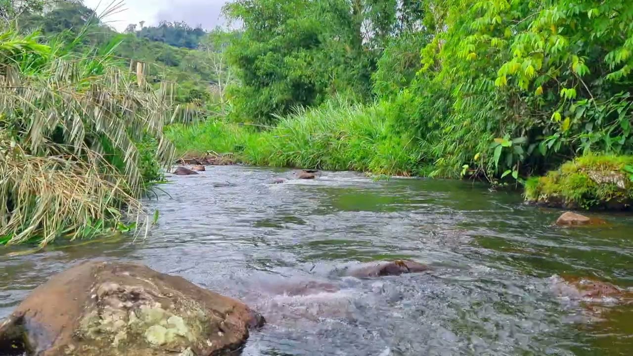 Natural River White & Brown Noise Ambience • 1 Hour Water Flow for Focus, Mental Clarity Relaxation