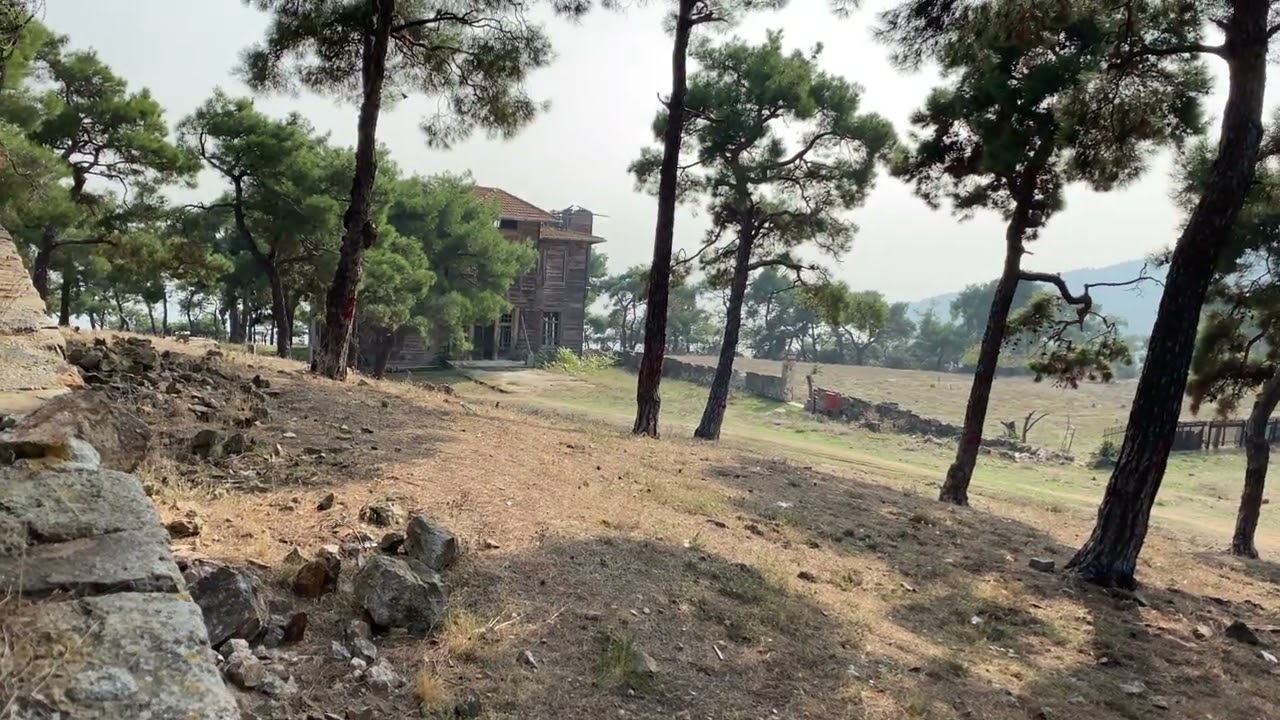 Prinkipo Greek Orthodox Orphanage, B&uuml;y&uuml;kada