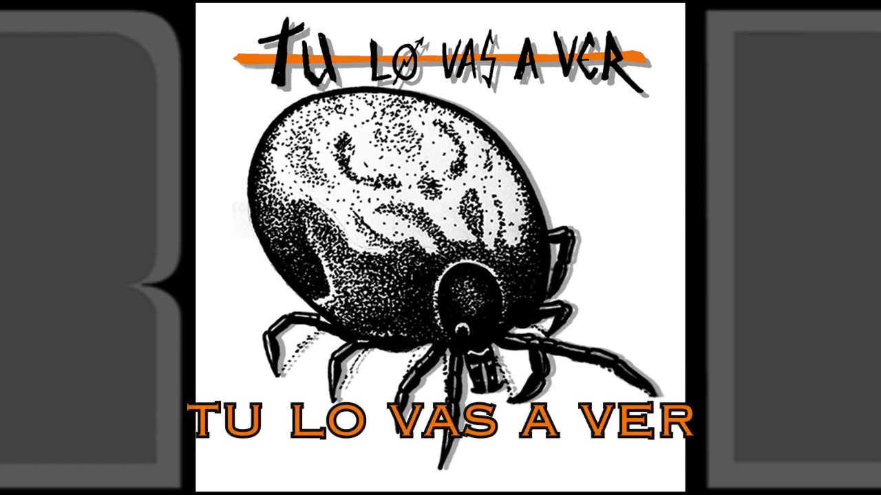garRAPata - tu lo vas a ver (disco completo)
