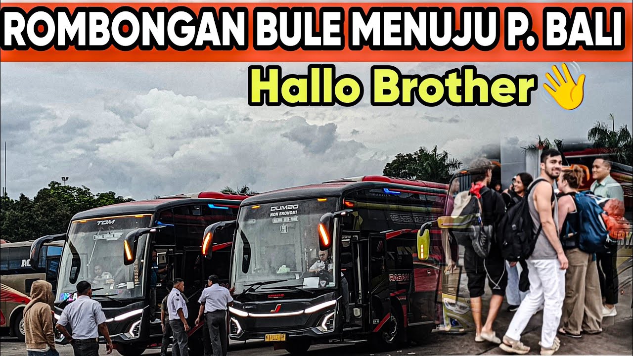 HALLO BROTHER👋‼️ROMBONGAN BULE TURKI AKAN BERANGKAT KE PULAU BALI
