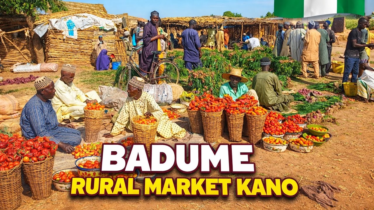 Inside Badume Market, Kano 🇳🇬 A Historic Rural Farm Market in Northern Nigeria