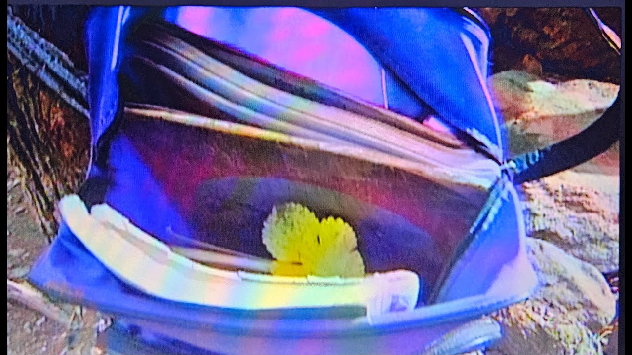 Косово под опсадом - 1998. година