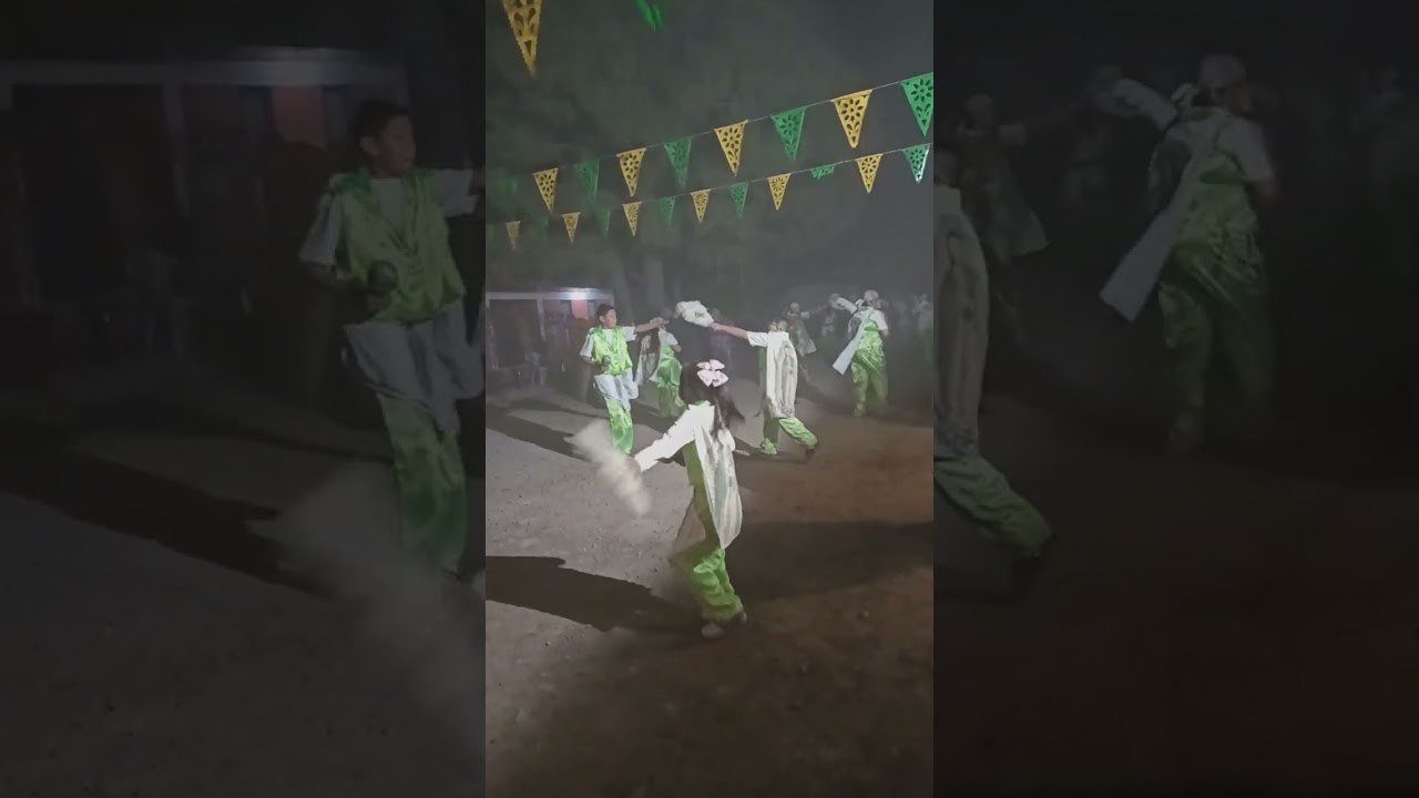 Danza Guadalupana Canatlán 💚