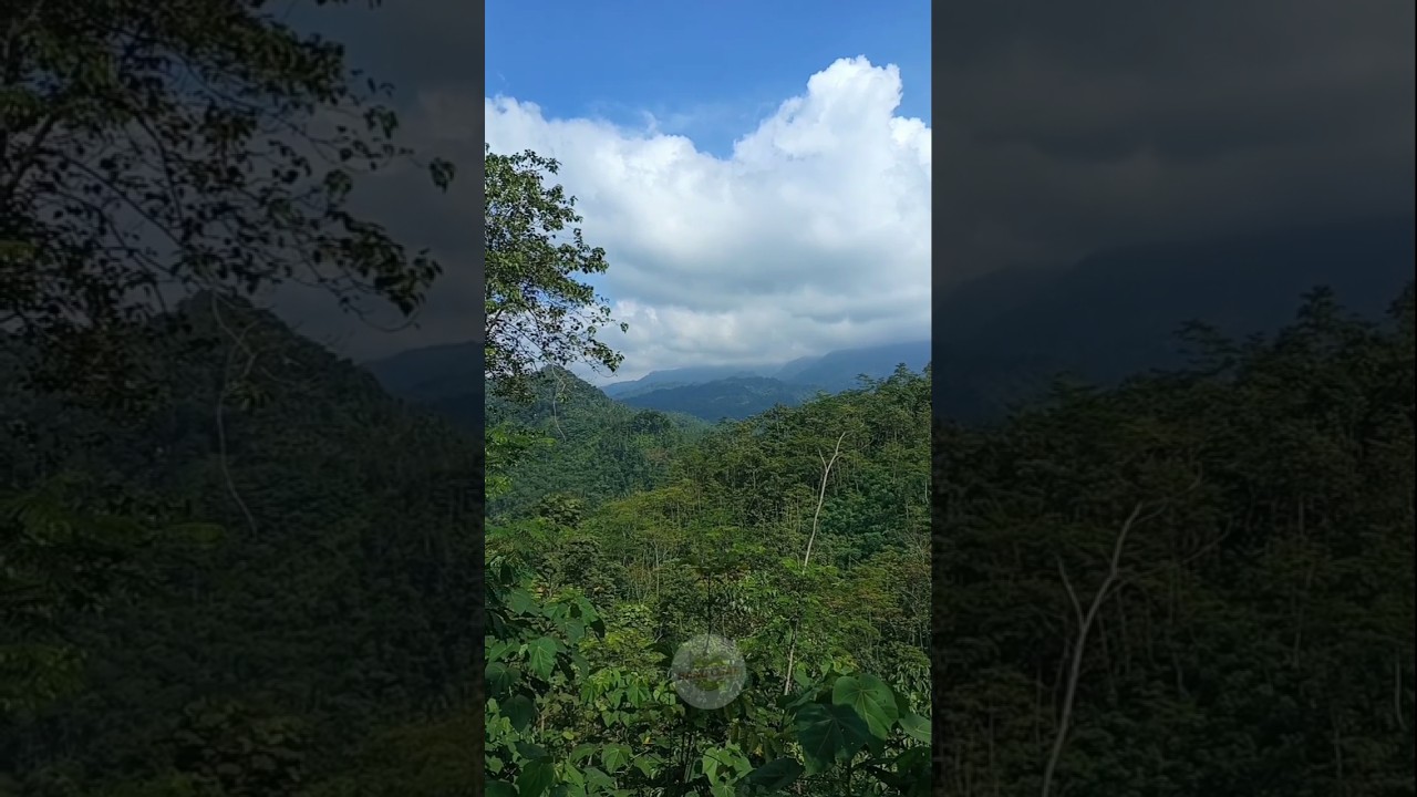 pemandangan dari atas bukit #shorts #kehidupandidesa  #suasanapedesaan